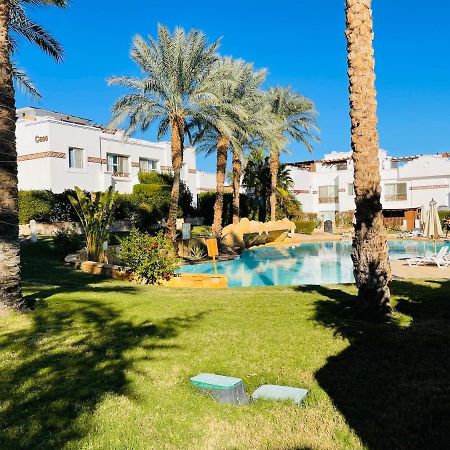 Sunterra Sharm Lägenhet Exteriör bild
